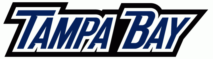 Tampa Bay Lightning 2007-2010 Wordmark Logo iron on transfers for clothing